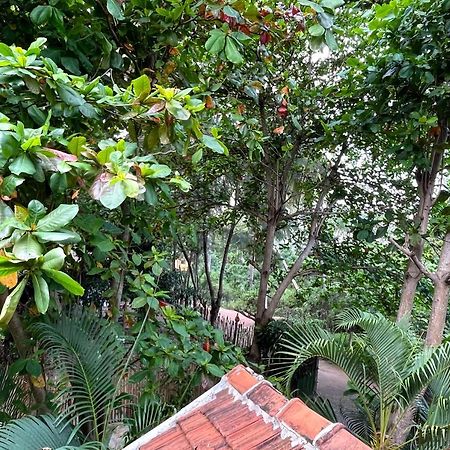 New Roy Guest House nghỉ mát Kalkudah Ngoại thất bức ảnh