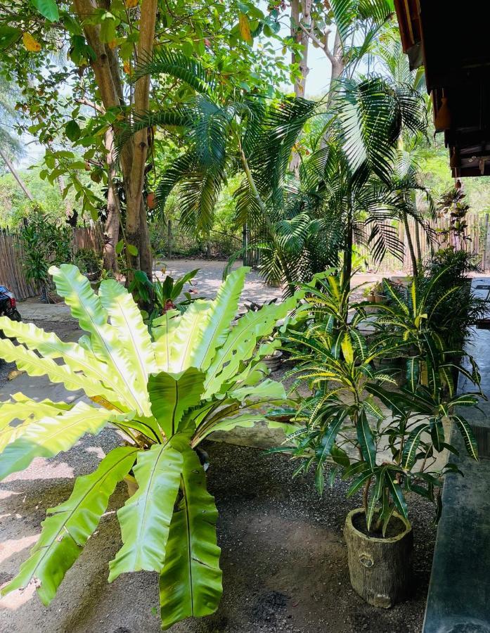 New Roy Guest House nghỉ mát Kalkudah Ngoại thất bức ảnh