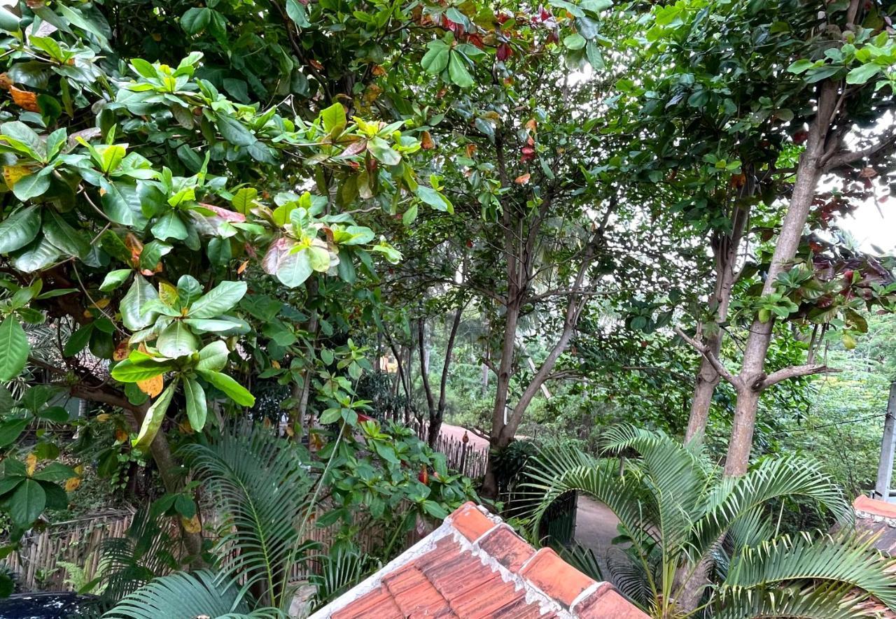 New Roy Guest House nghỉ mát Kalkudah Ngoại thất bức ảnh