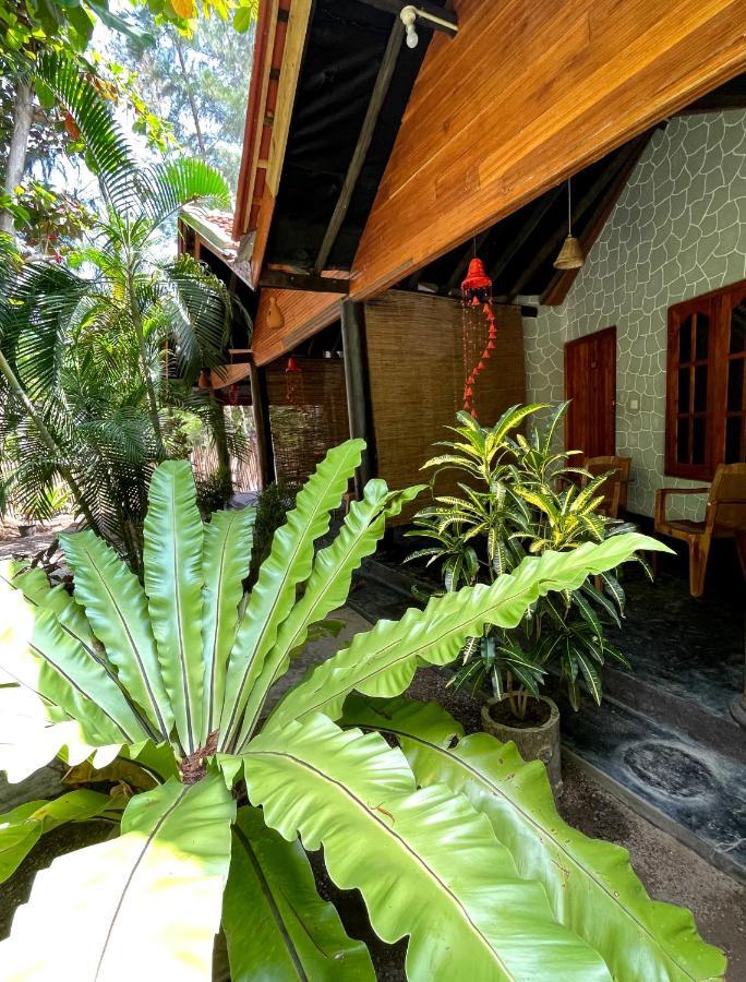 New Roy Guest House nghỉ mát Kalkudah Ngoại thất bức ảnh