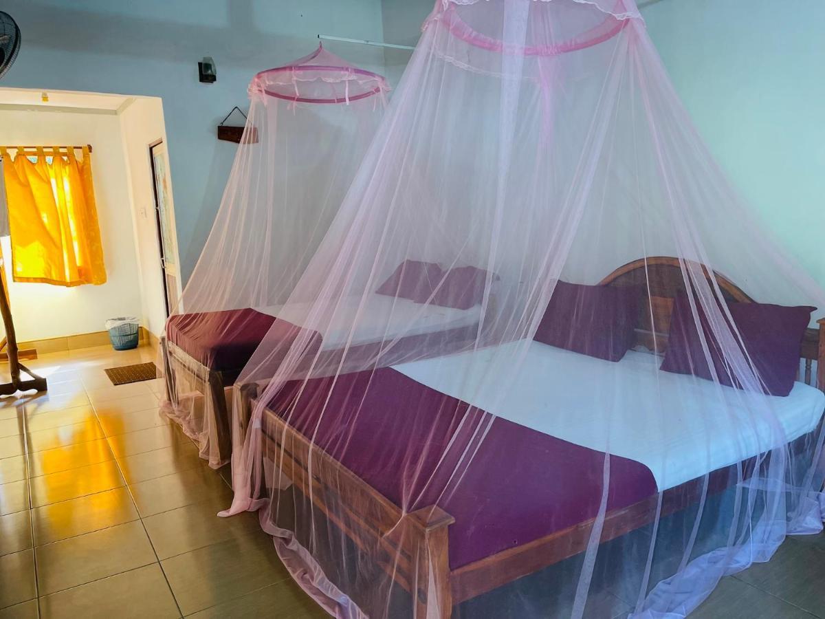 New Roy Guest House nghỉ mát Kalkudah Ngoại thất bức ảnh