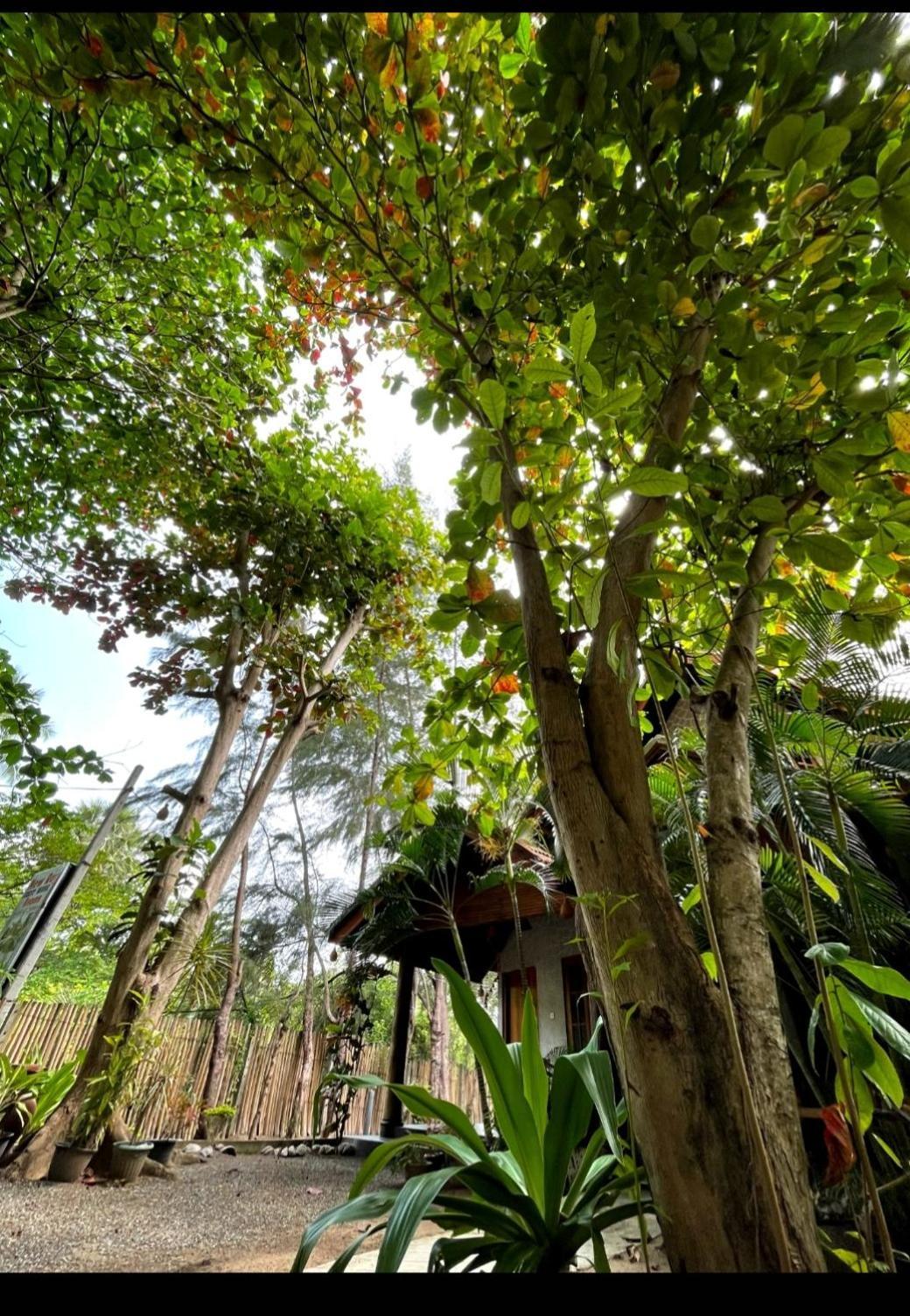 New Roy Guest House nghỉ mát Kalkudah Phòng bức ảnh